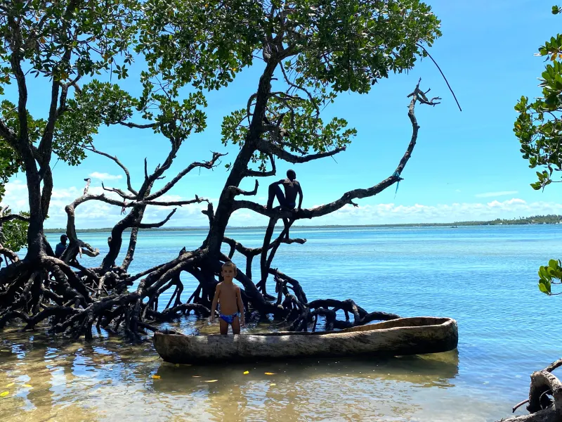 Elevated view over thatched roofs and Mida Creek near the historic Watamu coast