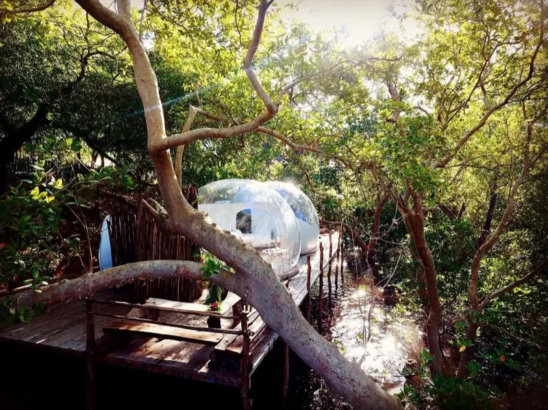 The bubble lodges and thatched suites of The Rock and Sea above the turquoise water of Mida Creek