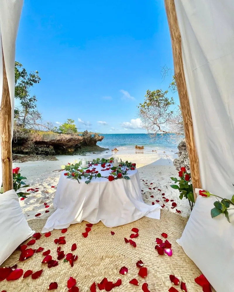 A couple celebrating their wedding at The Rock and Sea