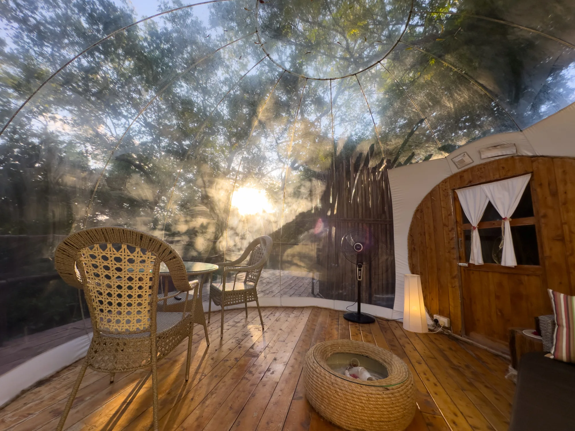 Morning light in the baobab bubble lodge
